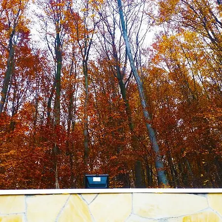 Διαμέρισμα Porcelan Vendeghaz *