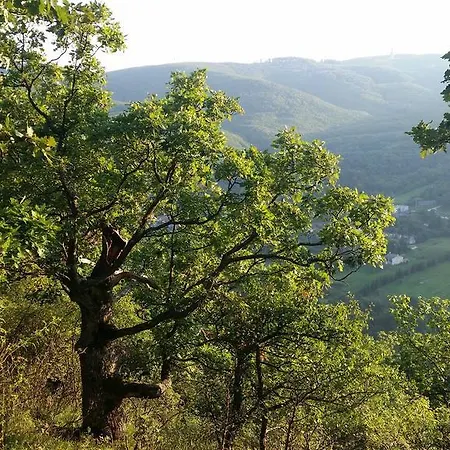 Porcelan Vendeghaz *