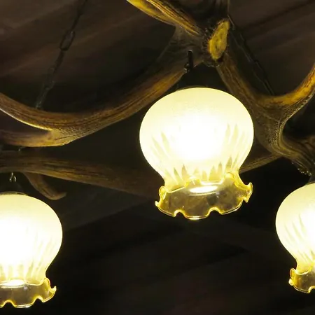 Διαμέρισμα Porcelan Vendeghaz *