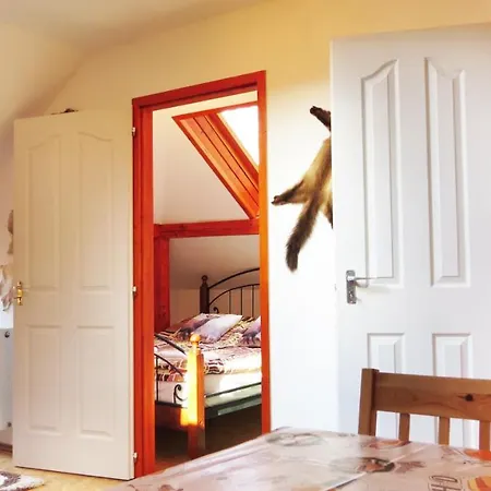 Porcelan Vendeghaz Διαμέρισμα